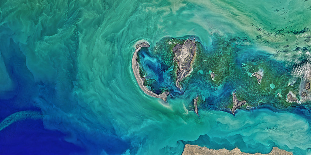 25 Fascinating Facts About the Ocean
