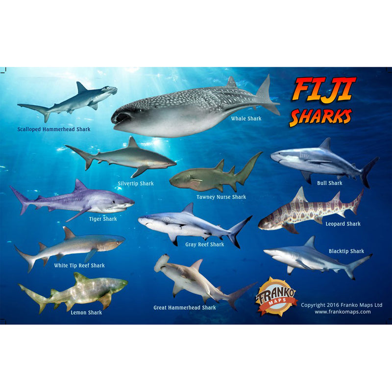 Franko Maps Fiji Sharks Rays Turtles Creature Guide 5.5 X 8.5 Inch