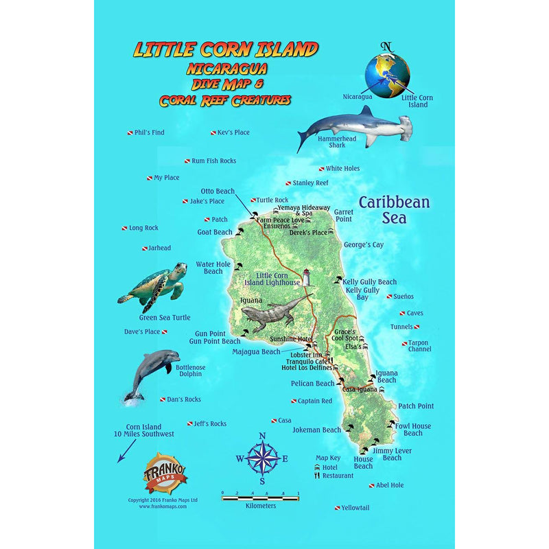 Franko Maps Little Corn Island Dive Creature Guide 5.5 X 8.5 Inch