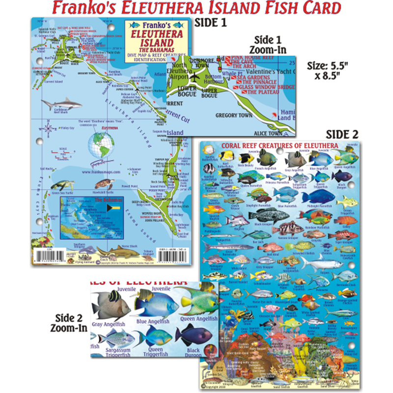 Franko Maps Eleuthera Island Reef Dive Creature Guide 5.5 X 8.5 Inch
