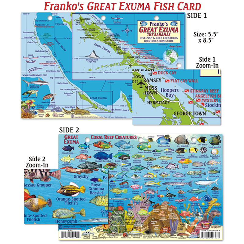 Franko Maps Great Exuma Island Reef Dive Creature Guide 5.5 X 8.5 Inch