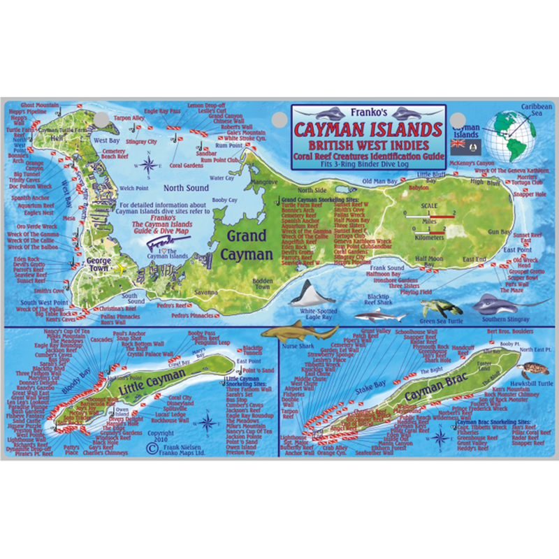 Franko Maps Cayman Islands Reef Dive Creature Guide 5.5 X 8.5 Inch
