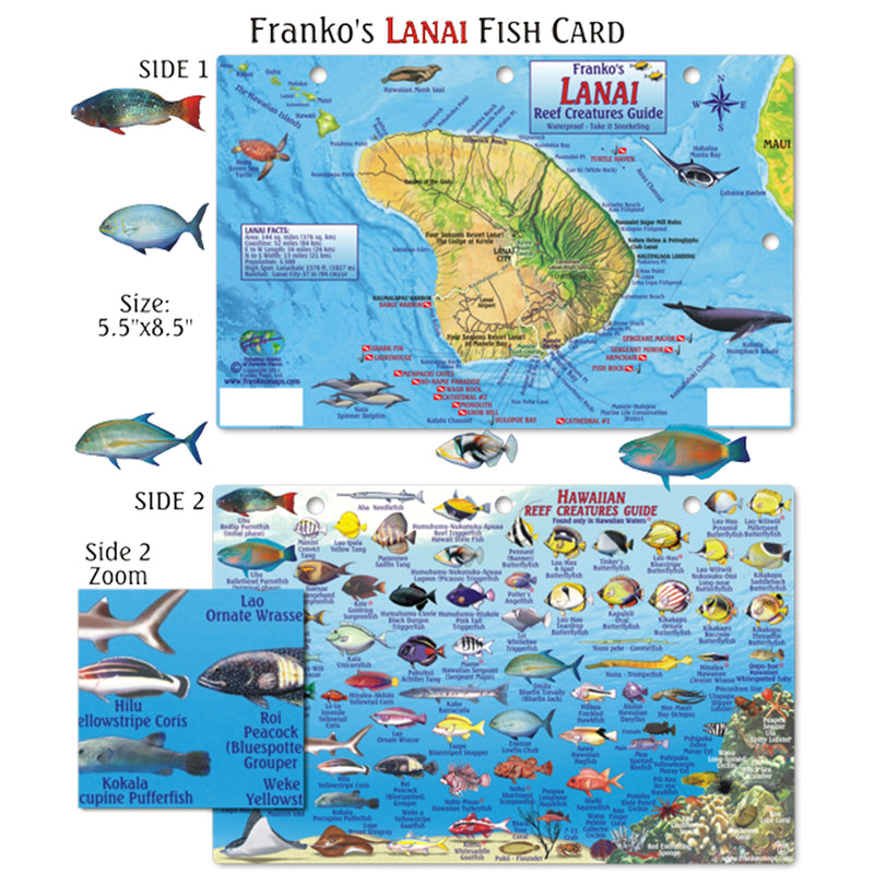 Franko Maps Hawaii Lanai Reef Dive Creature Guide 5.5 X 8.5 Inch