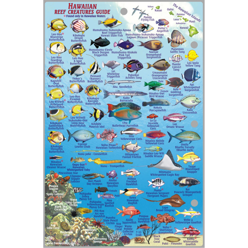 Franko Maps Oahu Hawaiian Reef Dive Creature Guide 5.5 X 8.5 Inch