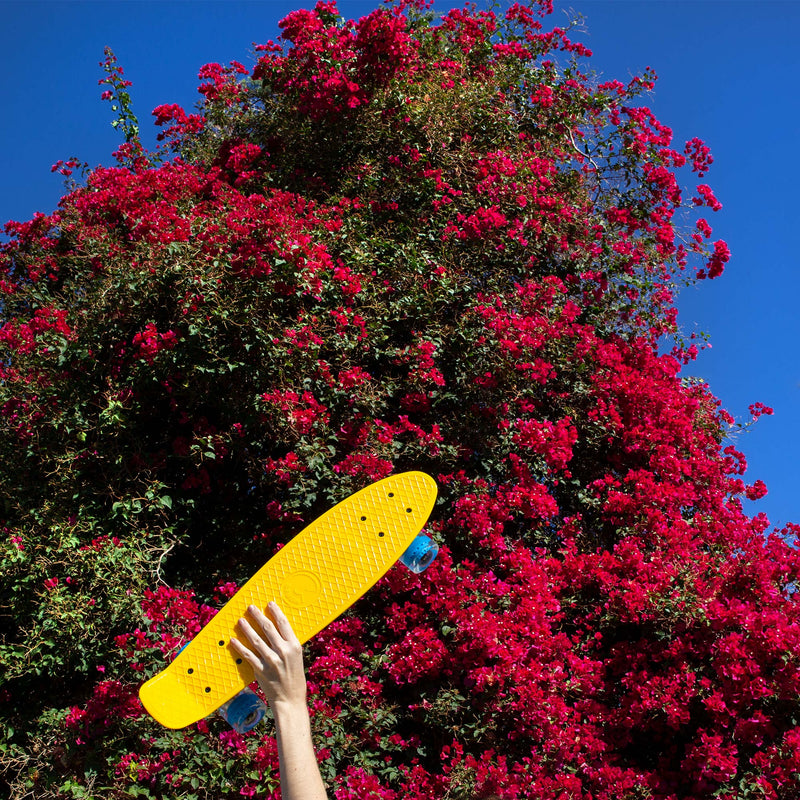 Cal 7 22-Inch Mini Cruiser | Sunburst