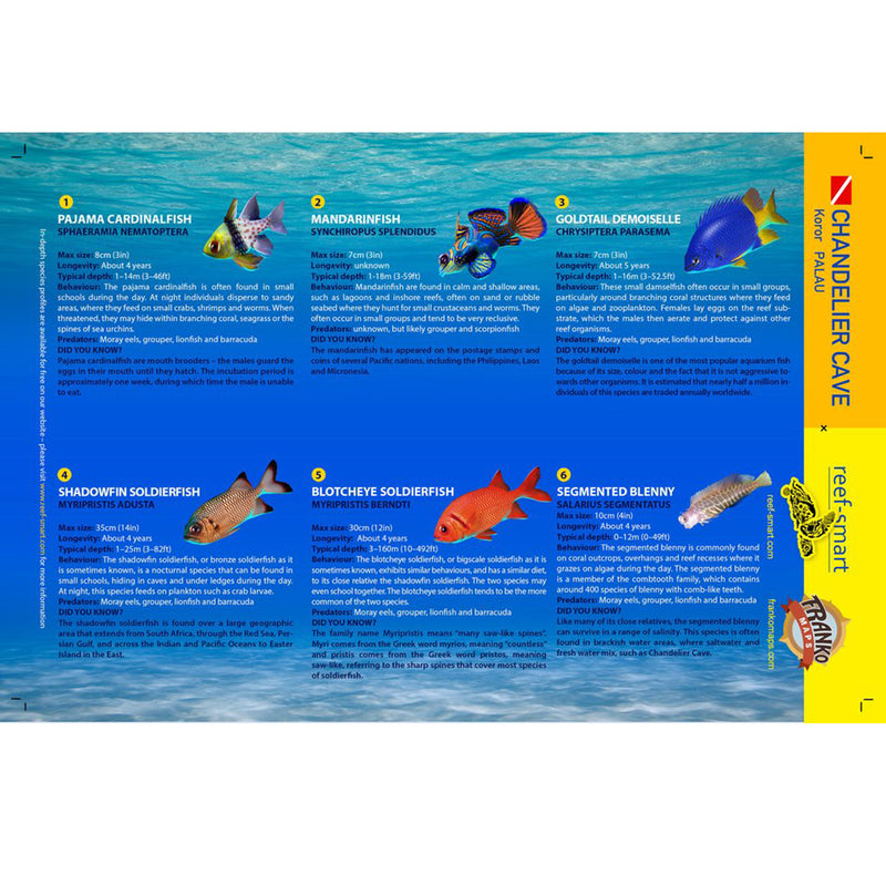 Franko Maps Chandelier Cave Dive Creature Guide 5.5 X 8.5 Inch