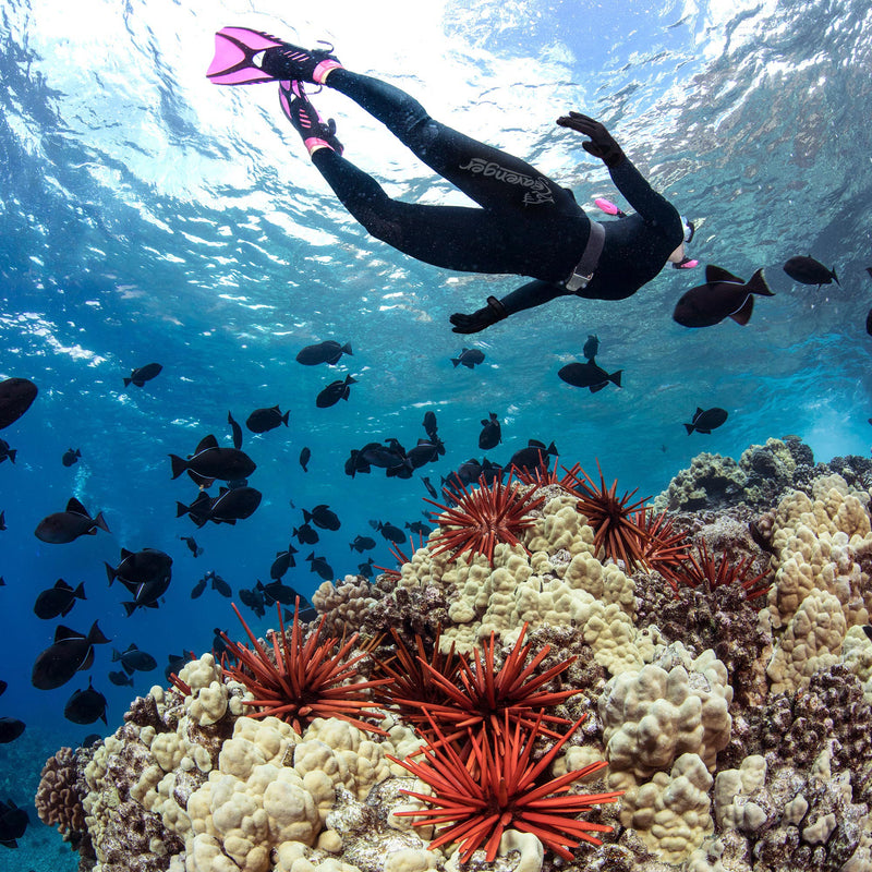 Seavenger Alpha 3mm Women’s Wetsuit