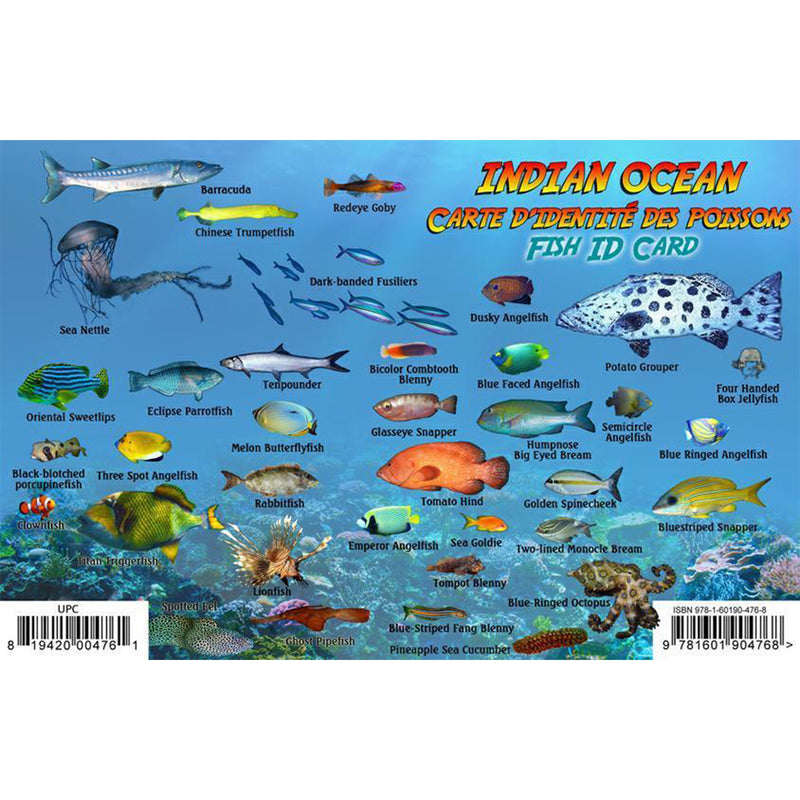Franko Maps Indian Ocean Dive Creature Guide 5.5 X 8.5 Inch