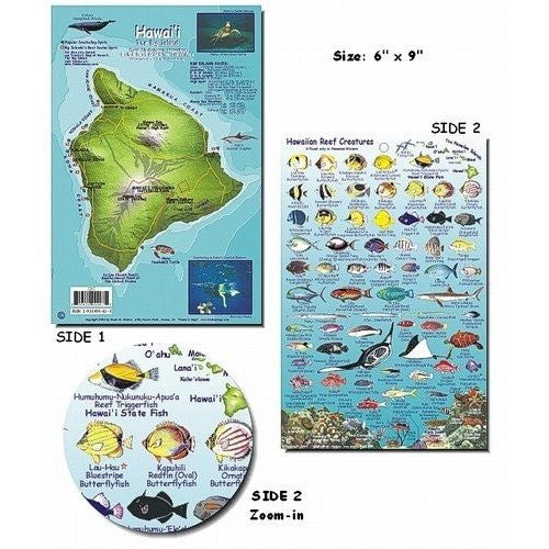 Franko Maps Big Island Hawaii Dive Creature Guide 5.5 X 8.5 Inch