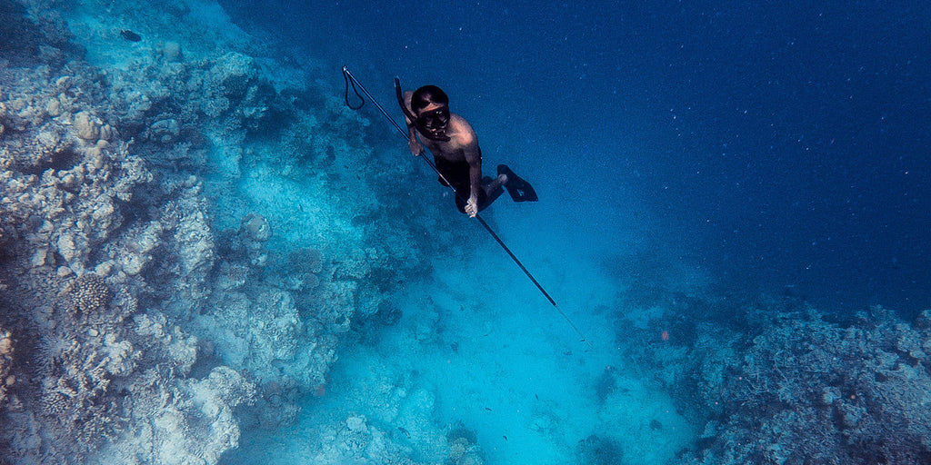 10 Things You Should Know Before Go Spearfishing –