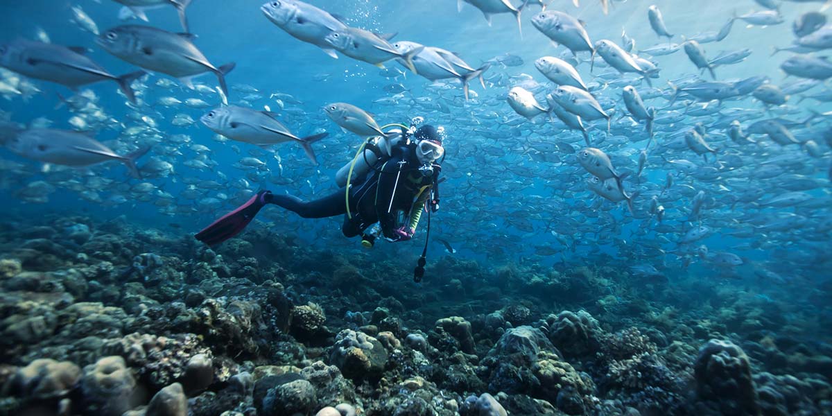 5 Scuba Diving Myths Busted