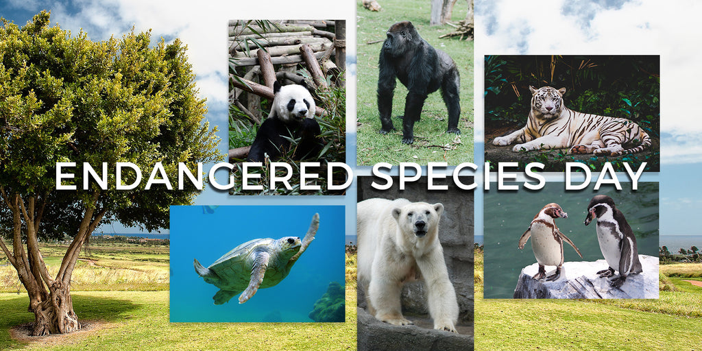 6 Ways to Celebrate Endangered Species Day