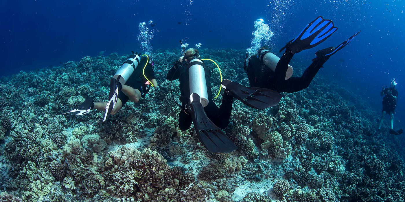 How to Choose the Best Fins