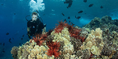 5 Scuba Diving Destinations to Explore
