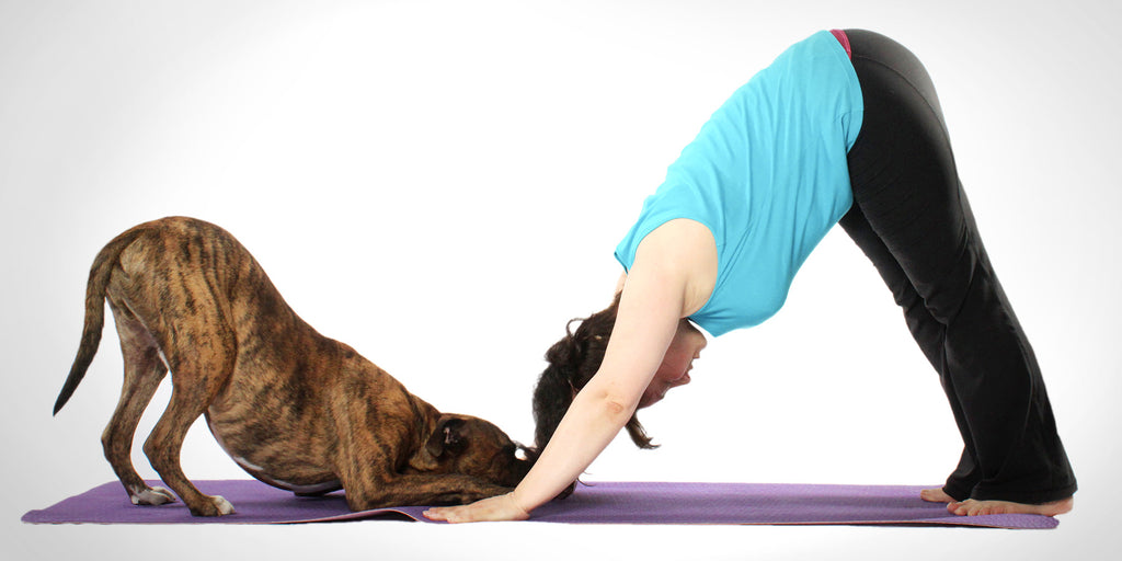 Yoga with Animals: Furry Fad or Real Deal?