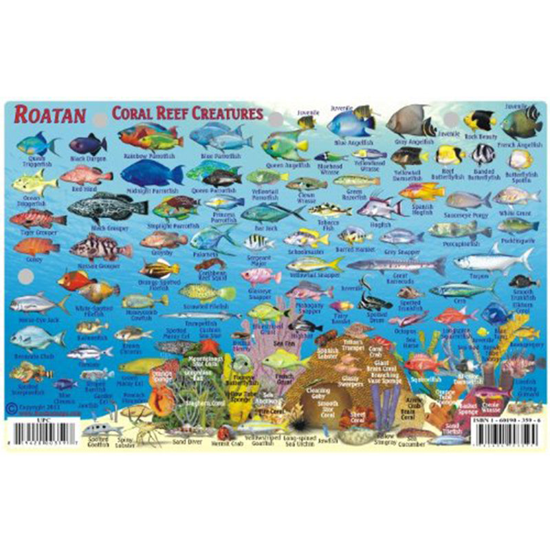 Franko Maps Roatan Honduras Reef Dive Creature Guide 5.5 X 8.5 Inch