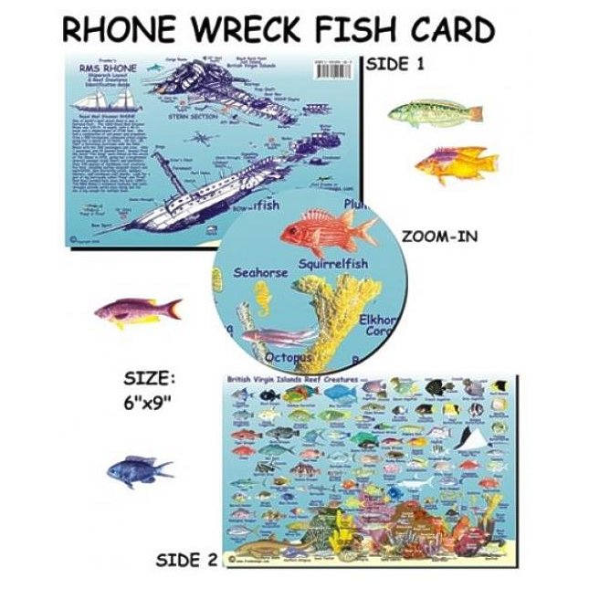 Franko Maps BV Islands RMS Rhone Dive Creature Guide 5.5 X 8.5 Inch