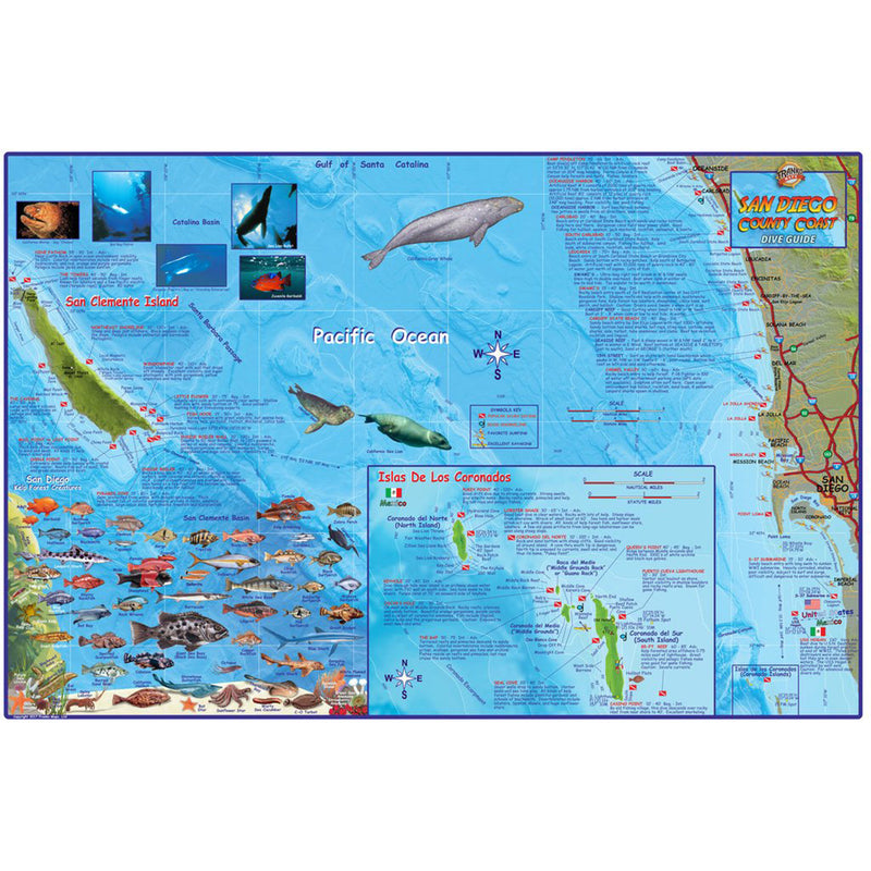 Franko Maps San Diego County Coast Dive Creature Guide 14 X 21 Inch