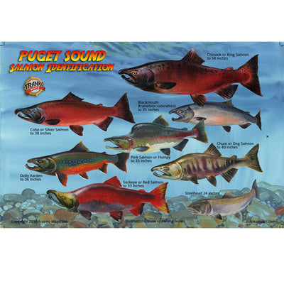 Franko Maps Puget Sound Salmon Lifecycle Creature Guide 5.5 X 8.5 Inch