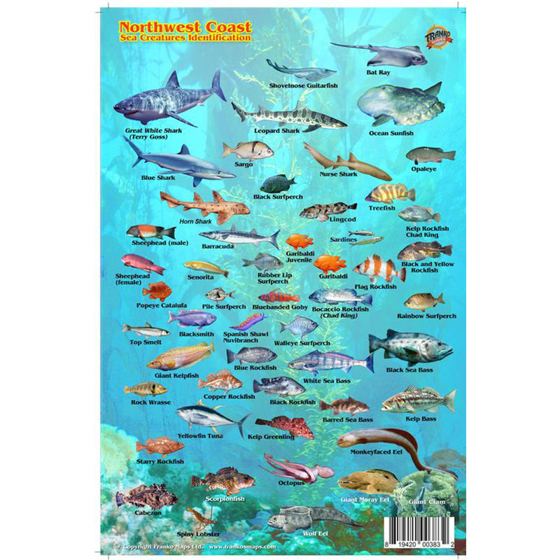 Franko Maps Northwest Coast Sea Creature Guide 5.5 X 8.5 Inch