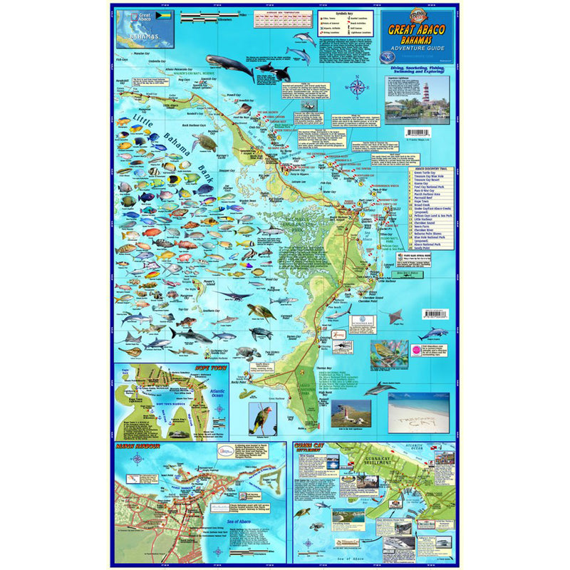 Franko Maps Great Abaco Bahamas Dive Creature Guide 16 X 26 Inch