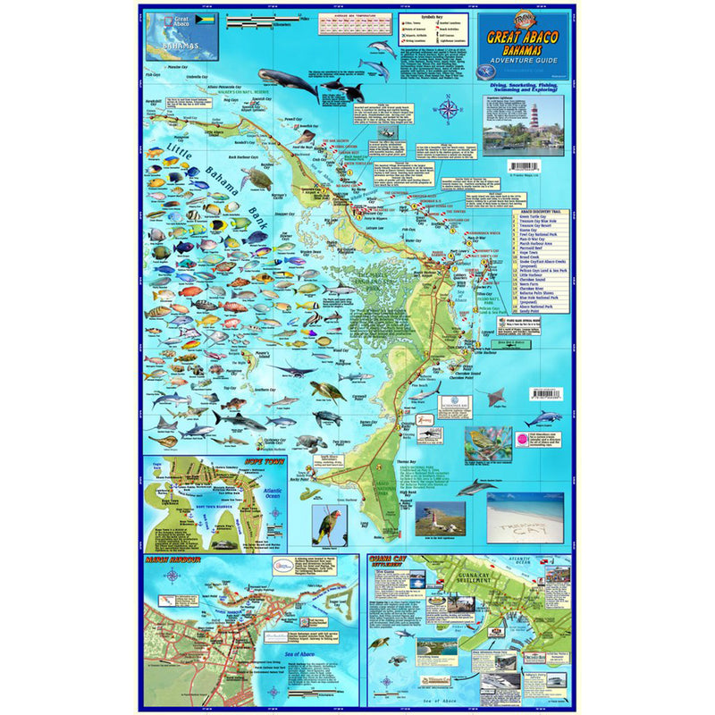 Abaco Map Layout Franko Maps Great Abaco Bahamas Dive Creature Guide 16 X 26 Inch ...