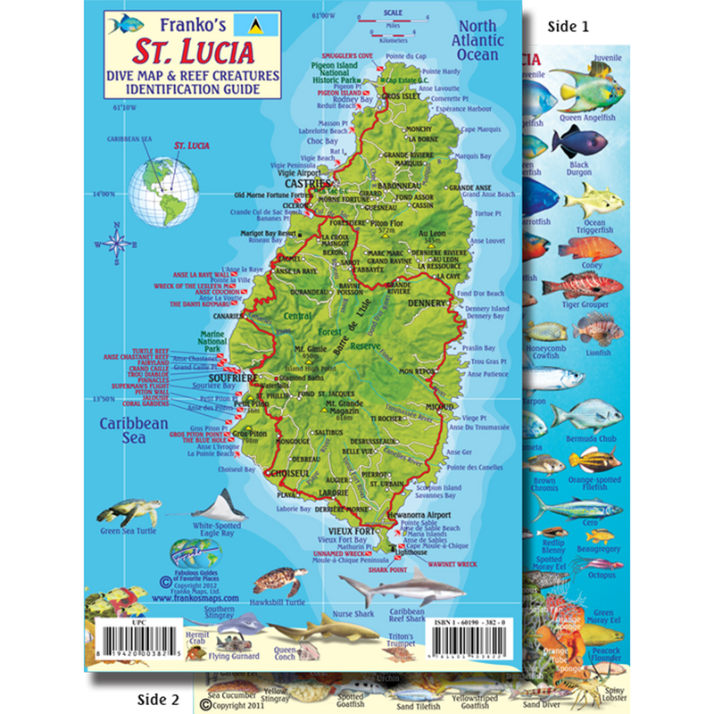 Franko Maps St Lucia Coral Reef Dive Creature Guide 5.5 X 8.5 Inch