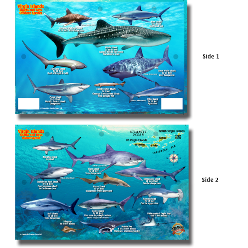 Franko Maps Virgin Islands Sharks Rays Creature Guide 5.5 X 8.5 Inch