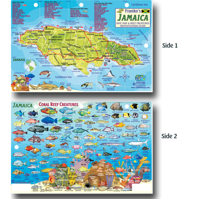 Franko Maps Jamaica Coral Reef Dive Creature Guide 5.5 X 8.5 Inch