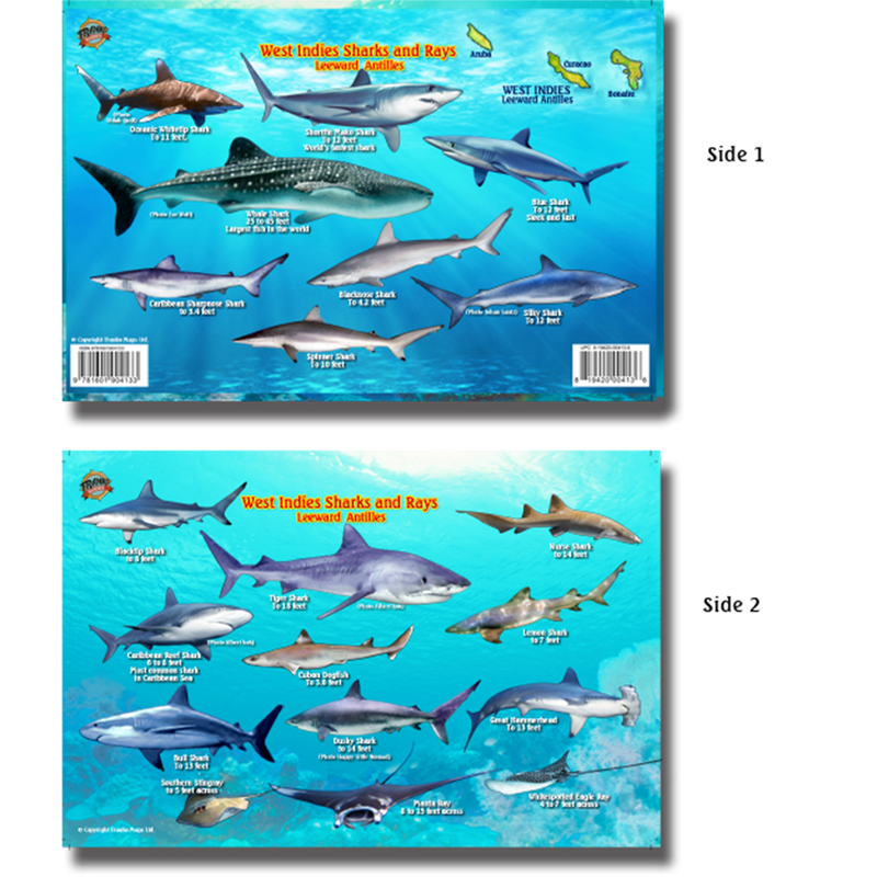 Franko Maps West Indies Sharks Rays Creature Guide 5.5 X 8.5 Inch