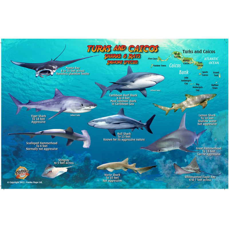 Franko Maps Turks & Caicos Sharks Rays Creature Guide 5.5 X 8.5 Inch