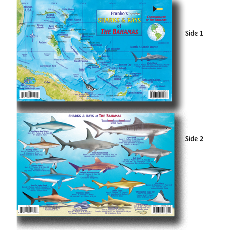 Franko Maps Bahamas Sharks Rays Creature Guide 5.5 X 8.5 Inch