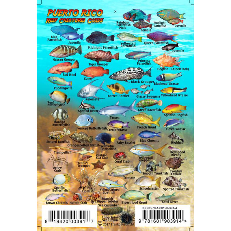 Franko Maps Puerto Rico Reef Creature Guide 4 X 6 Inch