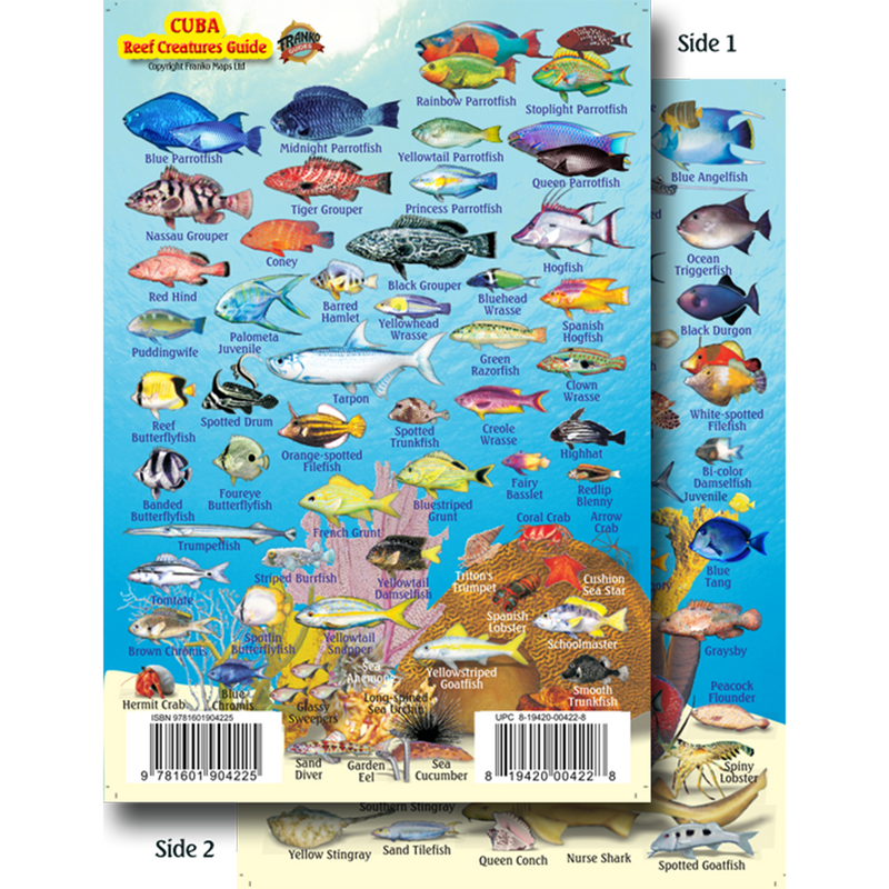 Franko Maps Cuba Reef Creature Guide 4 X 6 Inch