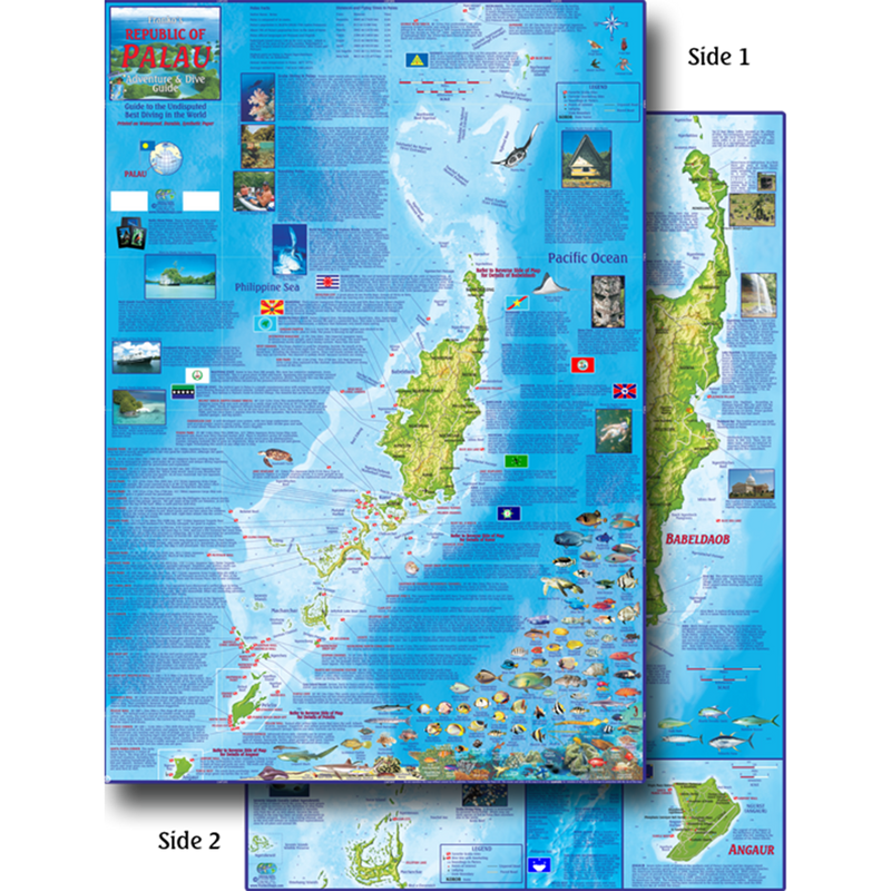 Franko Maps Republic of Palau Dive Creature Guide 18 X 26 Inch
