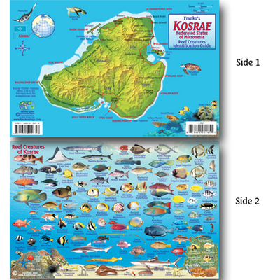 Franko Maps Kosrae Micronesia Reef Dive Creature Guide 5.5 X 8.5 Inch