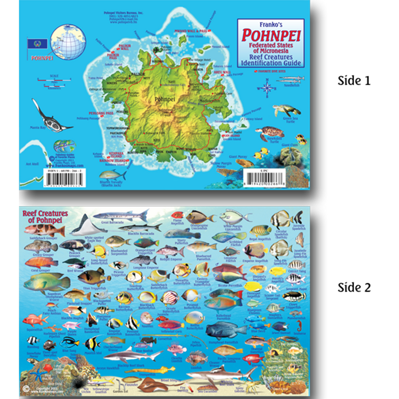 Franko Maps Pohnpei Reef Dive Creature Guide 5.5 X 8.5 Inch