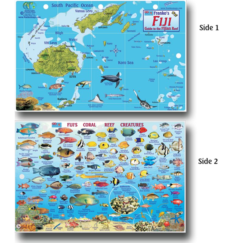 Franko Maps Fiji Coral Reef Creature Guide 5.5 X 8.5 Inch