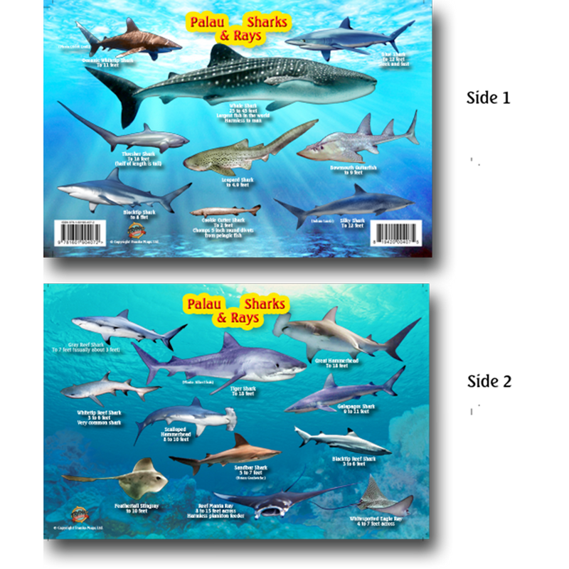 Franko Maps Palau Sharks Rays Creature Guide 5.5 X 8.5 Inch
