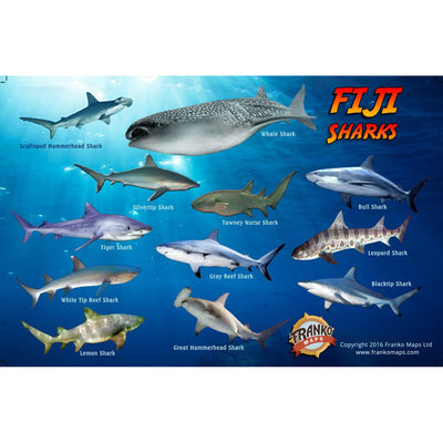 Franko Maps Fiji Sharks Rays Turtles Creature Guide 5.5 X 8.5 Inch