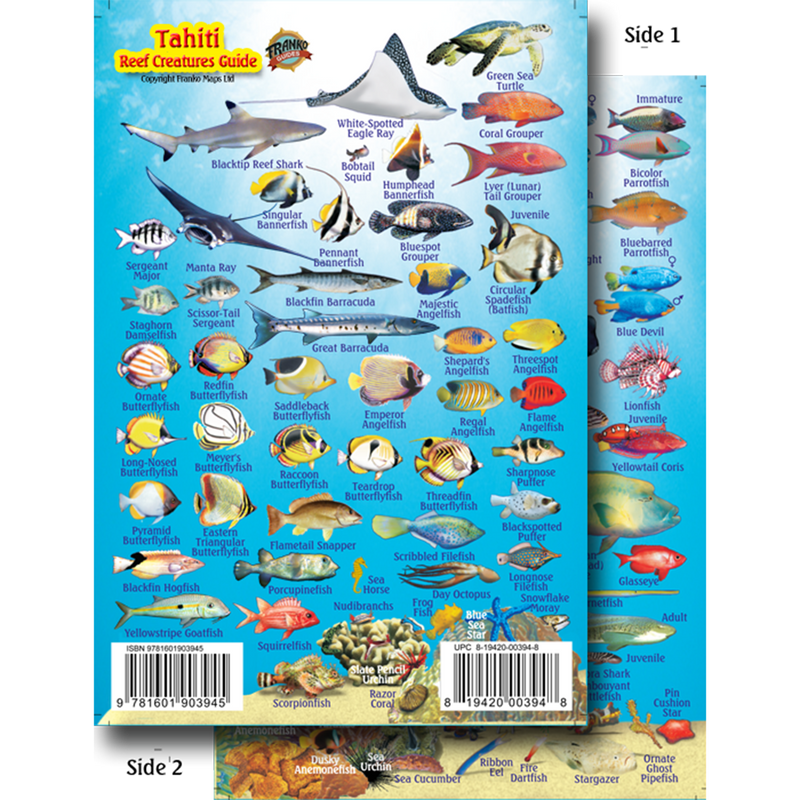 Franko Maps Tahiti Reef Creature Guide 4 X 6 Inch