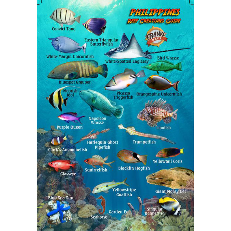 Franko Maps Philippines Reef Creature Guide 4 X 6 Inch