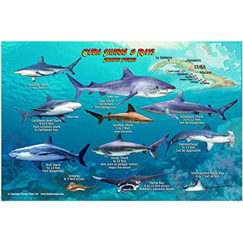 Franko Maps Cuba Sharks Rays Creature Guide 5.5 X 8.5 Inch