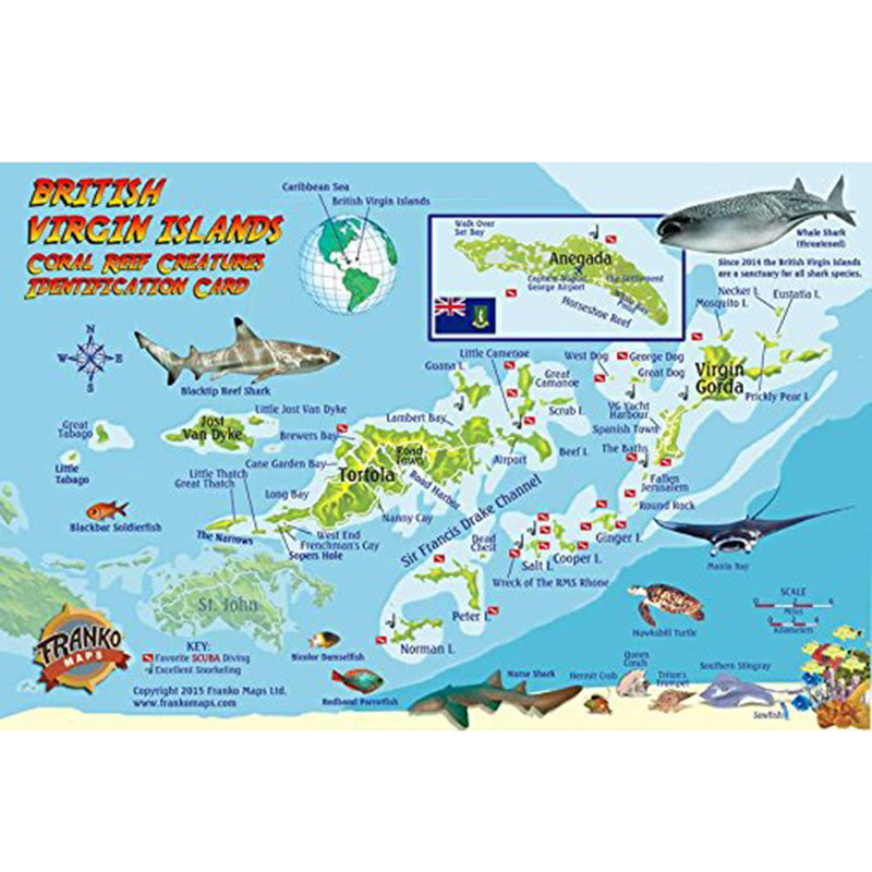 Franko Maps British Virgin Islands Dive Creature Guide 5.5 X 8.5 Inch