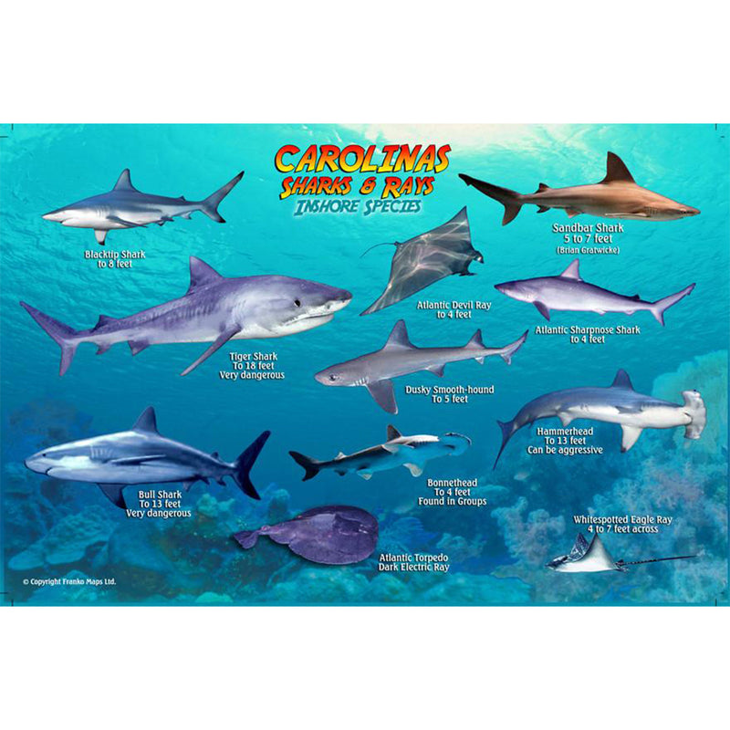 Franko Maps Carolinas Sharks Ray Creature Guide 5.5 X 8.5 Inch
