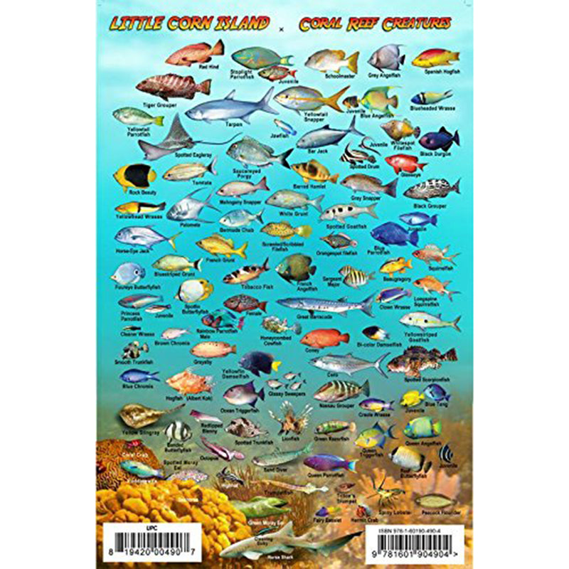 Franko Maps Little Corn Island Dive Creature Guide 5.5 X 8.5 Inch