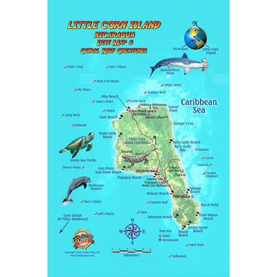 Franko Maps Little Corn Island Dive Creature Guide 5.5 X 8.5 Inch