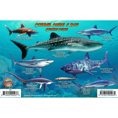 Franko Maps Cozumel Sharks Rays Creature Guide 5.5 X 8.5 Inch