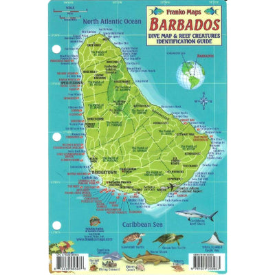 Franko Maps Barbados Reef Dive Creature Guide 4 X 6 Inch