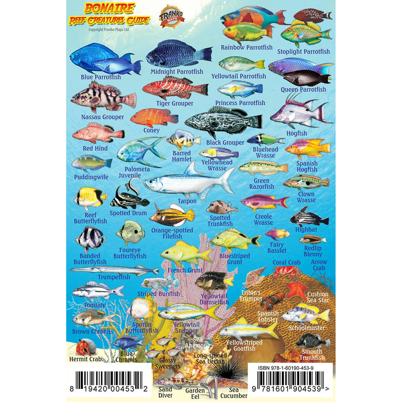 Franko Maps Bonaire Reef Creature Guide 4 X 6 Inch